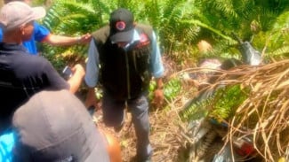Perhiasan Milik Mayat Perempuan yang Ditemukan di Perkebunan Sawit di Pasbar Raib
