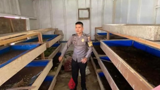 Seorang Polisi Jadi Pegiat Maggot di Padang Panjang