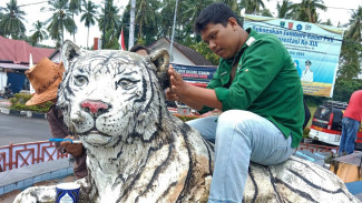 Patung Harimau Agam Dibikin Kinclong Lagi