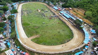 Ribuan Orang Saksikan Alek Pacu Kuda Di Tanah Datar