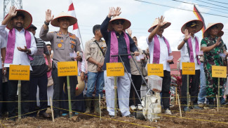 Solsel Dicanangkan Jadi Sentra Sorgum Nasional 