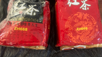 Polda Kalbar Amankan 2,67 Kilogram Narkoba di Entikong
