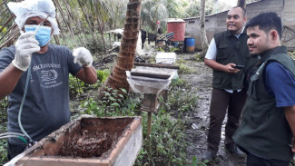 Manfaatkan Pekarangan Rumah, Warga Batu Ampar Dapat Cuan dari Budidaya Madu Kelulut