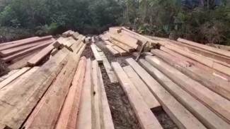 Ketua Dewan Adat Sebut Lokasi Jalan Bukung di Simpang Laur
