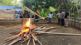 Polsek Dedai Bakar Arena Judi Sabung Ayam