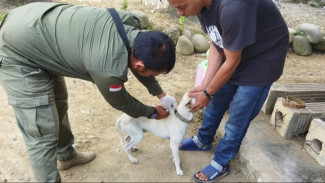Terbitkan SE Cara Pemko Padang Lindungi Warganya Dari Ancaman Anjing Gila