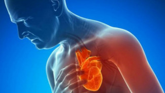 Jantung Dominasi Penyebab Kematian Anggota KPPS, Waspadai dan Kenali Gejalanya