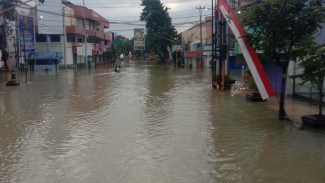 Banjir Grobogan Meluas, 113 Desa Terendam