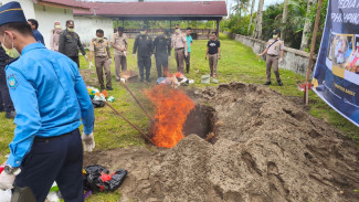168 Kilogram Komoditas Tanpa Dokumen Dimusnahkan Karantina Sumbar