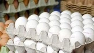 Rahasia Stamina Orang Minang: Khasiat Teh Talua yang Bikin Tetap Bertenaga