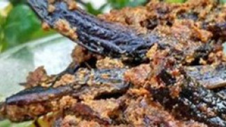 Inovasi Rendang Baluik: Mengapa Tidak?