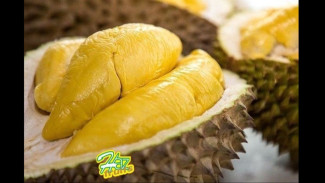 Durian Musang King Malaysia: Raja Buah dengan Cita Rasa Mewah yang Mendunia