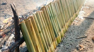 Tradisi Malamang, Wangi Ketan di Ruas Bambu yang Mengawali Ramadan di Minangkabau