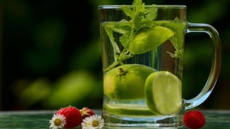 Bukan Cuma Asam: Inilah Berbagai Khasiat Minum Jeruk Nipis untuk Tingkatkan Imunitas dan Pencernaan