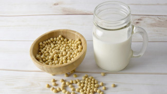 Vegan Wajib Tahu: Segelas Susu Kedelai, Rahasia Nutrisi Harian yang Lengkap!