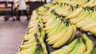 Bosan Diet Hambar? Kreasikan Pisang Jadi Hidangan Praktis Penuh Gizi!