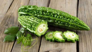 Mengenal Sayuran Pare: Si Pahit yang Kaya Manfaat untuk Kesehatan Anda