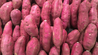 Ubi Ungu: Rahasia Dapur untuk Hidangan Lezat dan Super Sehat!
