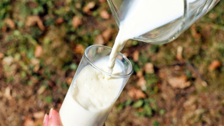 Susu Vs. Kesehatan Rambut: Benarkah Asupan Susu Pengaruhi Kilau Rambut Anda?