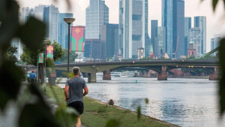 Modal Sepatu & Niat: 30 Menit Jalan Kaki Tanpa Henti Jadi Resep Bahagia Anti Stres