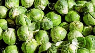 Tumis Kol: Kelezatan Sederhana nan Kaya Manfaat di Dapur Keluarga