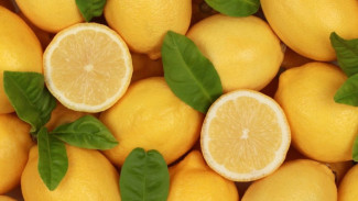 Lemon: Lebih dari Sekadar Rasa Asam, Inilah Segudang Manfaatnya bagi Kesehatan