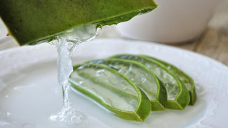 Solusi Alami untuk Sembelit: Mengungkap Keampuhan Obat Herbal