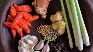 Serai: Sang Raja Rempah Dapur, Mengapa Jadi Kunci Lezatnya Segala Resep?