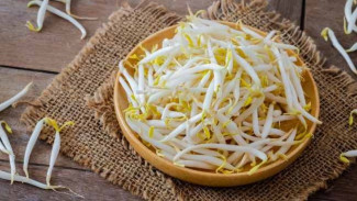 Toge untuk Cepat Hamil: Mitos Ampuh atau Fakta Ilmiah? Mari Kita Bedah