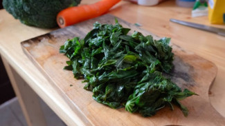 Nikmat di Balik Daun Singkong: Bukan Sekadar Sayuran Biasa, Kaya Rasa dan Gizi