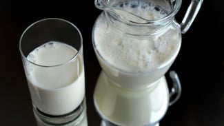 Perdebatan Susu Sapi vs Susu Nabati: Mana yang Terbaik untuk Kebutuhan Gizi Anda Sehari-hari?