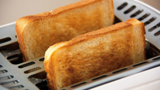 Kunci Morning Boost: Mengapa Sepotong Roti Tawar Bisa Jadi Menu Ajaib untuk Otak dan Tubuhmu