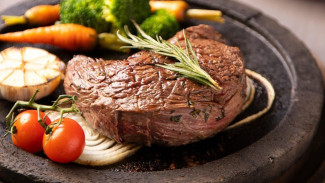 5 Hal yang Wajib Anda Tentang Diet Karnivora  Agar Tidak Bahaya