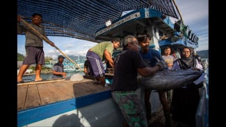Sumatera Barat Bersiap Jadi Sentra Tuna Indonesia Bagian Barat