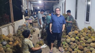 Durian Binafshi Asli Payakumbuh Hadir dengan Stok Konsisten