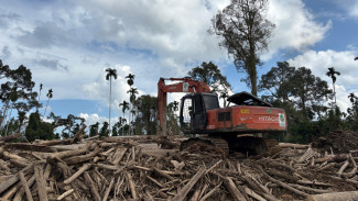 Akses Jalan Terbuka, BNPB Percepat Pembersihan Material Kayu dan Sekolah di Aceh Utara