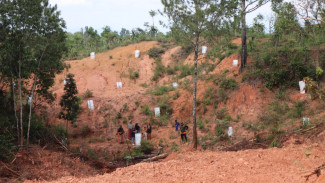 Percepat Pemulihan Sumbar, BNPB Evaluasi Pembangunan Huntara dan Persiapan Huntap