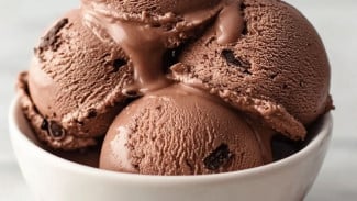 Cuma Modal Freezer, Ice Cream Homemade Ini Bisa Dibuat Siapa Saja dan Rasanya Bikin Nagih