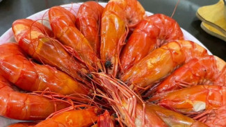 Jangan Panik! Ini Makanan yang Bisa Membantu Redakan Alergi Usai Makan Udang