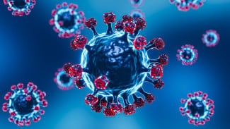 RI Masih Nol Kasus, Ahli Sebut Potensi Pandemi Virus Nipah Relatif Kecil