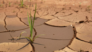 BRIN Ingatkan Potensi El Nino 'Godzilla' 2026, Indonesia Terancam Kemarau Ekstrem