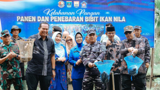 Dukung Ketahanan Pangan Nasional, Kodaeral II Padang Panen 1,5 Ton Ikan Nila