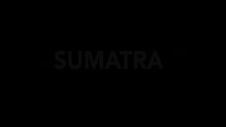 Sumatra Blackout! Listrik Padam Serentak Sejak Jumat Malam
