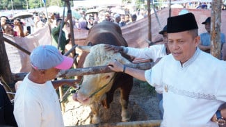 Pemko Payakumbuh Sembelih Sapi Kurban 1,2 Ton Bantuan Kemasyarakatan Presiden RI