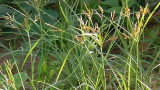 img_title