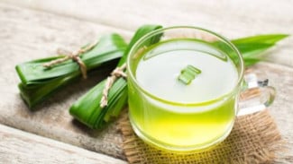 Rebusan Daun Pandan, Minuman Tradisional yang Kerap Dikonsumsi untuk Menjaga Kesehatan