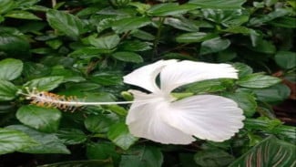 img_title
