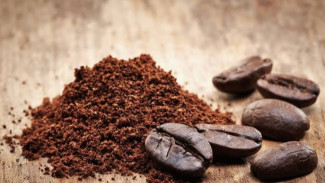 Olah Ampas Kopi Jadi Pupuk Organik Padat, Solusi Hemat Menyuburkan Tanaman