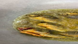 Resep Ikan Puyu Goreng Jengkol Lado Mudo, Gurih Pedas yang Bikin Nasi Hangat Makin Nikmat