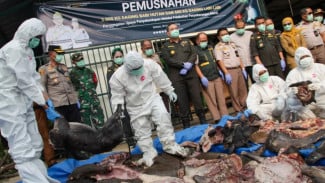 Dibawa dari Jambi ke Semarang, 3 Ton Daging Babi Hutan dan 600 Kg Labi-labi Tanpa Dokumen Digagalkan di Merak
